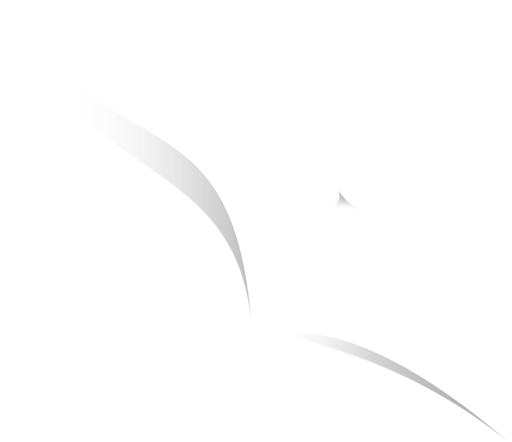 Qantas Insurance Couples Cover